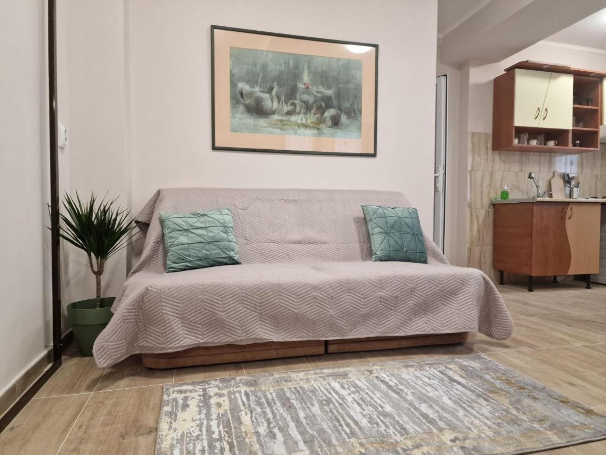 Laroka House Beautiful Apartment Universitate Center Bucureşti Ngoại thất bức ảnh